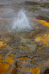Geyer in the upper basin of Yellowstone National Park, Wyoming
