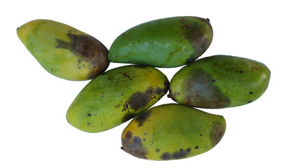 Bad mango on a white background Clipping path                              
