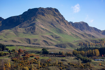 Fototapeta premium Rural farming country at Tuki Tuki below Te Mata Peak in Hawkes bay New Zealand