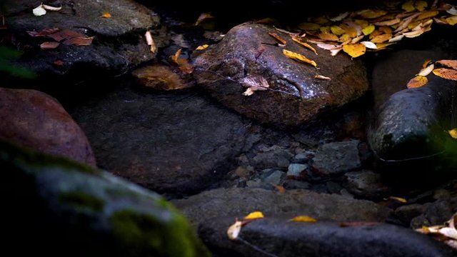 Slow motion of leaves falling in cold fresh water in natural waterfall located in dark moody forest around boulders and rocks with shallow depth of field  