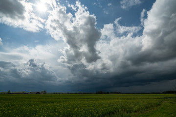 stormy clods and green field