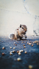 such a lovely eyes miss