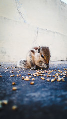 my morning starts with this 