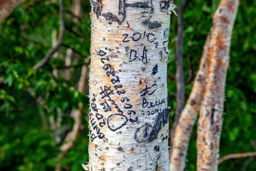 ペトロパブロフスク‐カムチャツキー