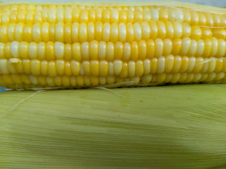 corn on the cob