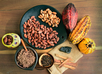 Different stages of Cocoa for chocolate in Colombia