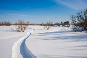 Fototapeta na wymiar Snowmobile trail on a snowy field. Forest in the background.