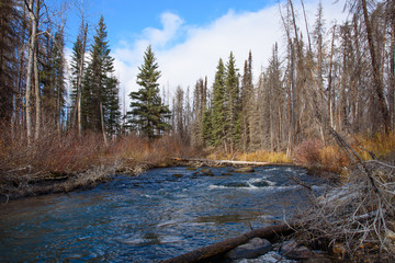 autumn on winding stewart creek 6