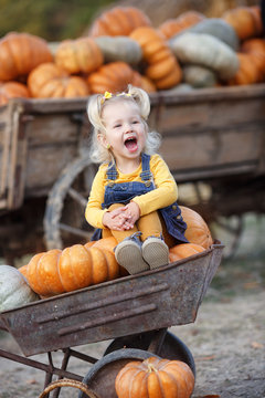 Child picking pumpkins at pumpkin patch. Little toddler girl playing among squash at farm market. Family time at Thanksgiving and Halloween.Little girl having fun on a tour of a pumpkin farm at autumn