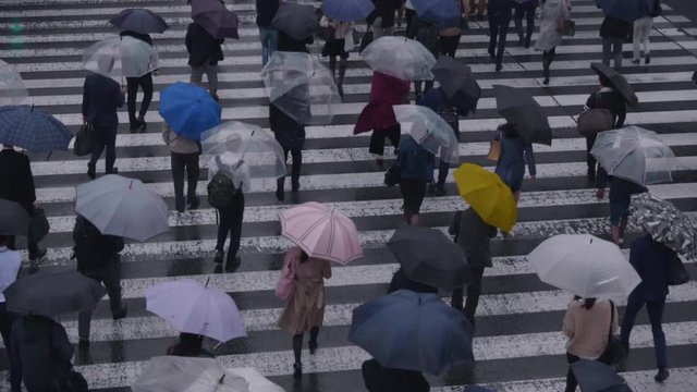 雨の中傘をさして出勤するビジネスマン