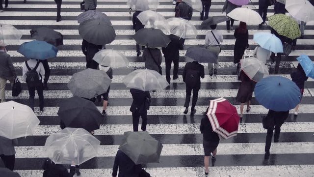 雨の中傘をさして出勤するビジネスマン