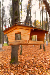 Bird feeders. This feeder made by the caring hands of a person will save many hungry birds in winter from hunger.