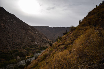 paisaje y monta&ntilde;as