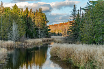 Fototapeta premium Ompah back road river view reflection fall colours landscape