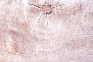 Wooden old patterns natural texture with eye and cracked abstract for light brown background