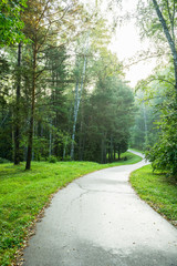 Obraz premium Zakrzywiona droga asfaltowa w parku z zieloną trawą i drzewami