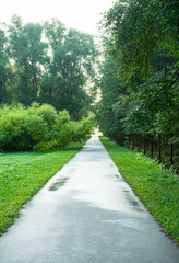 Curved asphalt road in the park with green grass and trees