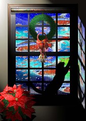 window 12