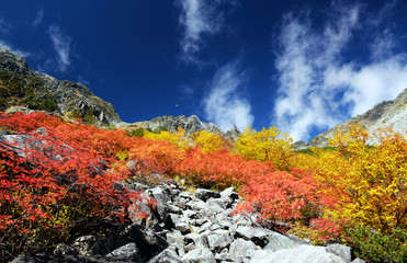 涸沢カールの紅葉