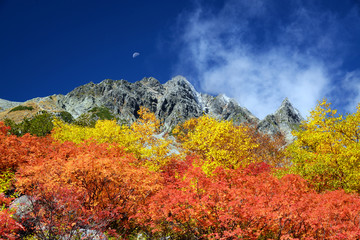 涸沢カールの紅葉