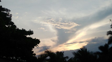 Sunset in Belize, nature, orange, clouds, sky, sunset, nature, beautiful, evening