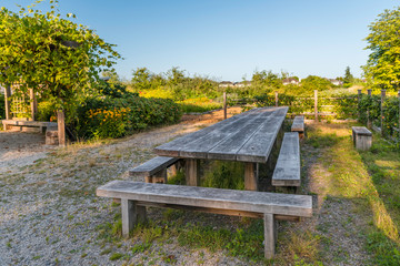 Naklejka premium wooden table and benches dug in the ground, a porch covered with grape plants