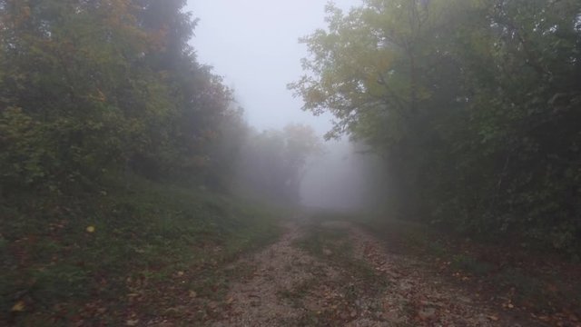 running down a misty foogy forest path in Autumn