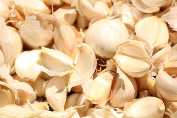 garlic on white background