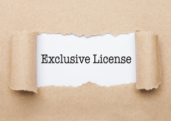 Exclusive License text appearing behind paper