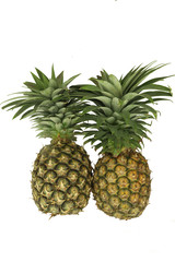Two Pineapple Fruit