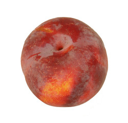 Obraz premium Unwashed Plum Fruit