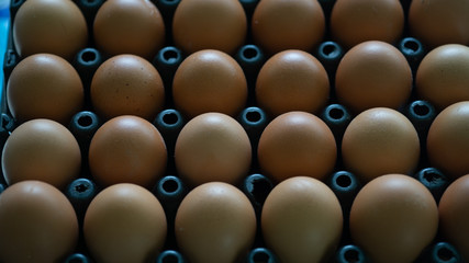 The eggs best food healthy