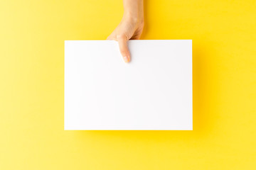 Woman’s hand showing blank a4 paper sheet on yellow background. Close up
