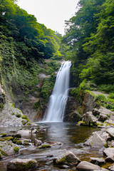 日本　秋保大滝　深緑の季節