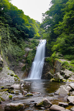 日本 秋保大滝 深緑の季節 © 俊樹 坪井