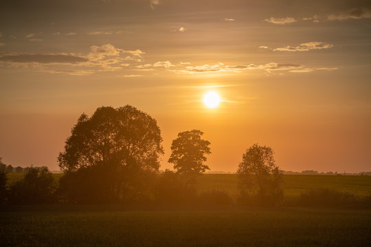 Gold Sunset