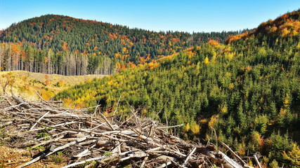 Autumn in the Carpathian Mountains - Transylvania, Romania