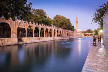 Balikligol, Sanliurfa / Turkey. Balikligol Mosque ( Fish Lake )