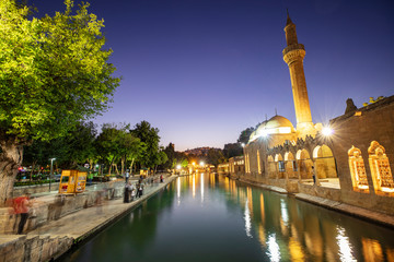 Balikligol, Sanliurfa / Turkey. Balikligol Mosque ( Fish Lake )
