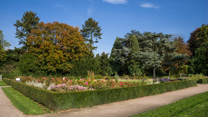 Rosengarten Stadtpark Hamburg Herbst HD Format