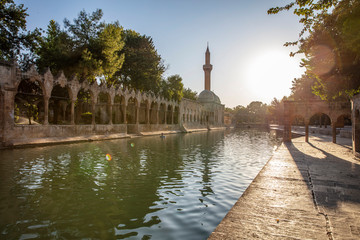 Balikligol, Sanliurfa / Turkey. Balikligol Mosque ( Fish Lake )