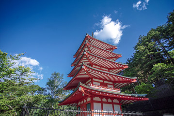 Fototapeta premium Fujiyoshida, Japan at Chureito Pagoda and Mt. Fuji in the spring with cherry blossoms.