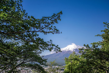 Beautiful view Mt. Fuji with snow, blue sky and fresh grass in summer at Yamanashi, Japan.