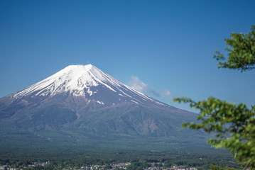 Beautiful view Mt. Fuji with snow, blue sky and fresh grass in summer at Yamanashi, Japan.
