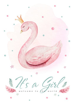 Baby shower kid swan watercolor girl design cartoon elements. Set of baby pink birthday illustration. Newborn party invitation