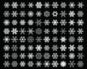 Set of different white snowflakes on a black background