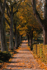 Fototapeta na wymiar Autumn at the cemetery in Europe.