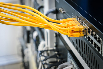 Many yellow internet wires connect to the network switch in the server room.  Information technology concept. Utp cable connects to the interfaces of the main office router. - obrazy, fototapety, plakaty
