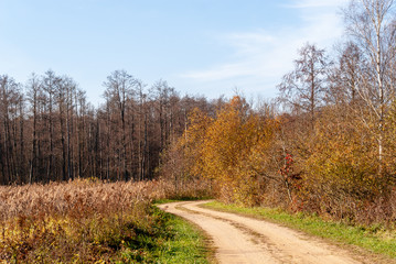 Polska złota jesień w dolinie rzeki Supraśl, Podlasie, Polska