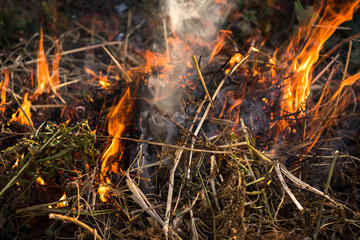 Strong smoke from fire.  Cleaning fields of reeds, dry grass. Natural disaster